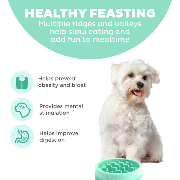 Outward Hound Fun Feeder Slo Bowl Dog Slow Feeder, Mint, Small/Tiny