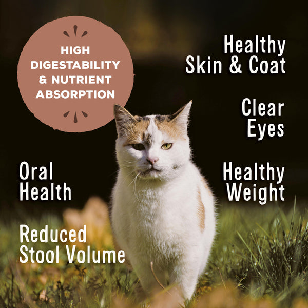 Primal Pronto Raw Frozen Pork Formula Cat Food, 1-lb
