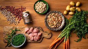 Fromm Four-Star Nutritonals Shredded Turkey in Gravy Entree Canned Dog Food