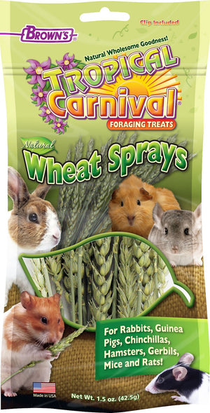 Brown's Tropical Carnival Natural Wheat Sprays Small Animal Treats, 1.5-oz