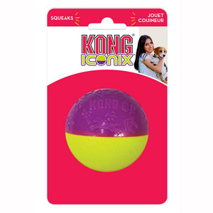 KONG Iconix Ball Dog Toy