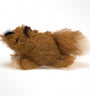 OurPets Play-N-Squeak Jouet pour chat renard qui couine Backyard