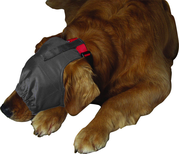 ThunderCap Calming Cap