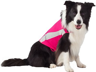 ThunderShirt Anxiety & Calming Solution for Dogs, Pink Polo