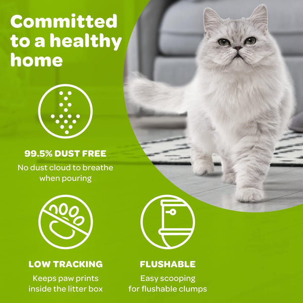 sWheat Scoop Litière naturelle pour chat au blé multi-chats