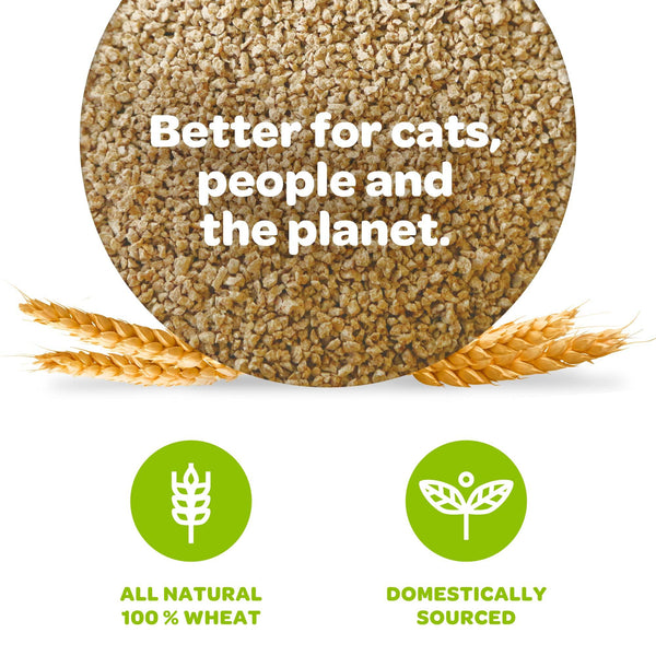sWheat Scoop Litière naturelle pour chat au blé multi-chats