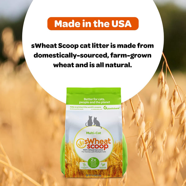 sWheat Scoop Litière naturelle pour chat au blé multi-chats