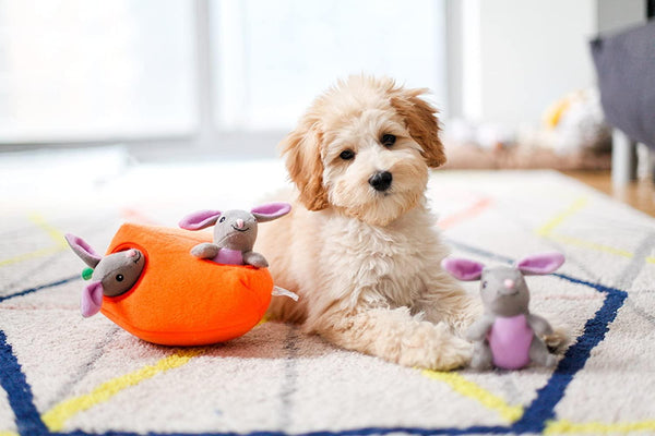 ZippyPaws Zippy Burrow Bunny 'n Carrot Dog Toy