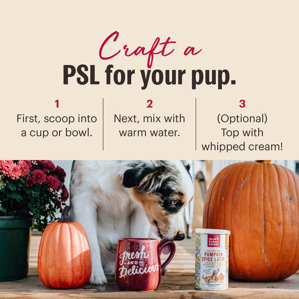 The Honest Kitchen Pumpkin Spice Latte Dog & Cat Treats Canister, 4-oz