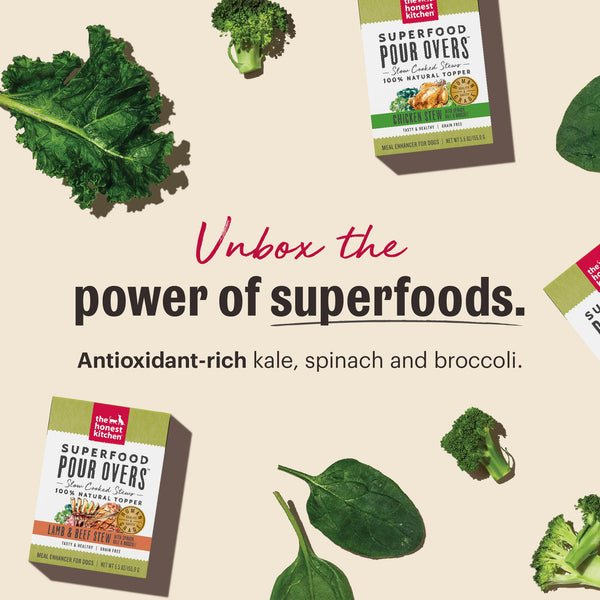 The Honest Kitchen Superfood Pour Overs Lamb & Beef Stew with Spinach Dog Food Topper