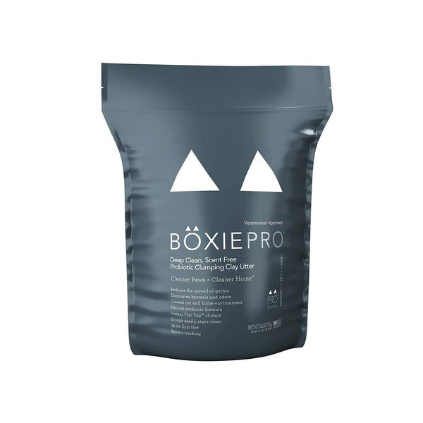 Boxiecat Pro Litière pour chat agglomérante sans parfum