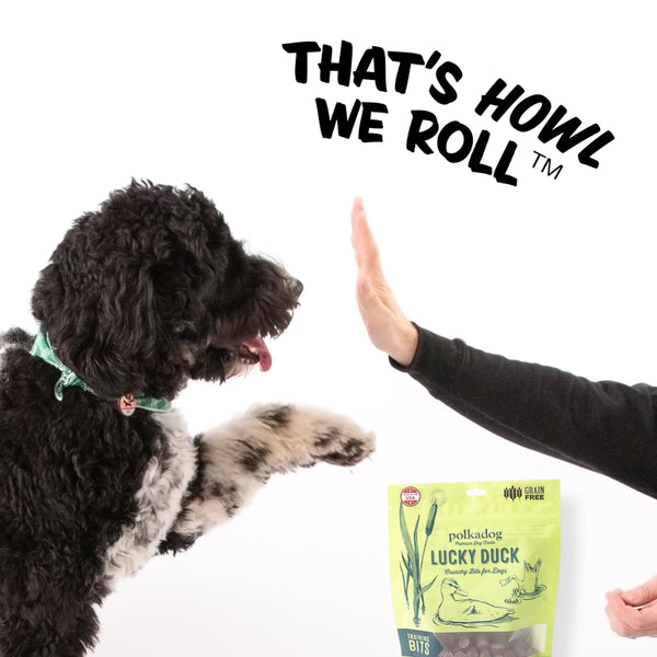 Polkadog Lucky Duck Friandise d'entraînement Sans céréales pour chiens