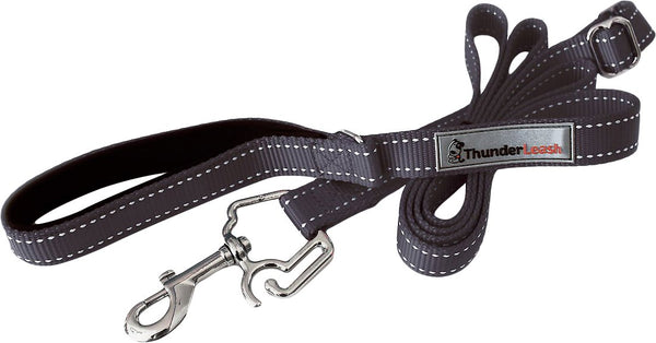 ThunderLeash Dog Leash, Black