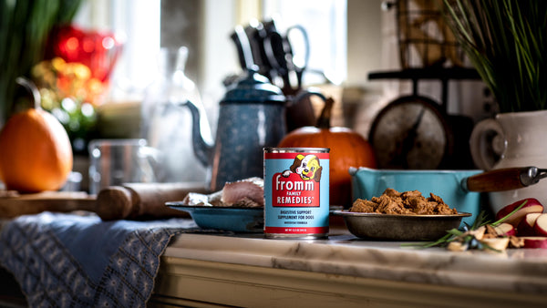 Fromm Family Remedies Suppléments digestifs Formule au poisson pour chiens