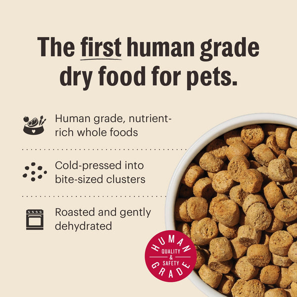 The Honest Kitchen Whole Food Clusters Turkey Grain-Free Dry Dog Food