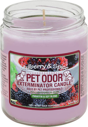 Pet Odor Exterminator Deodorizing Candle Jar, Mulberry & Spice, 13-oz