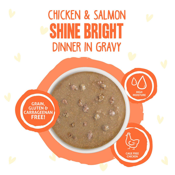 BFF OMG GRAVY Chicken & Salmon Shine Bright Dinner in Gravy Wet Cat Food Pouch