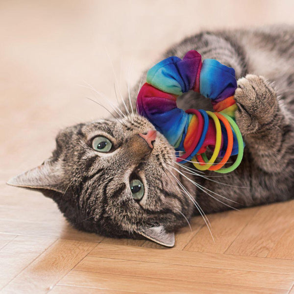 Jouet pour chat KONG Active Scrunchie