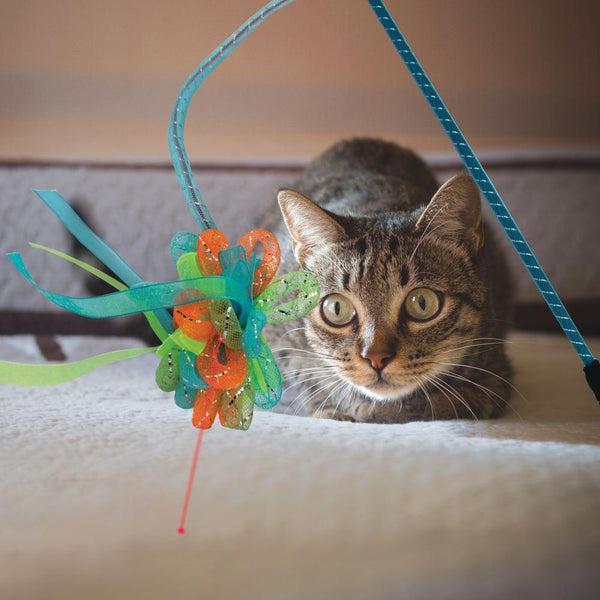 KONG Laser Teaser Rubans Jouet pour Chat