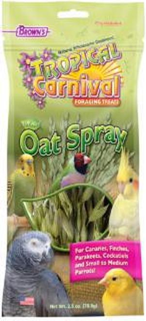 Brown's Tropical Carnival Oat Spray Small Animal Treats