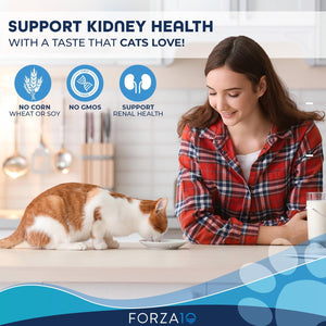 Forza10 Nutraceutic Actiwet Renal Support Wet Cat Food, 3.5-oz
