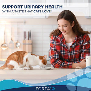 Forza10 Nutraceutic Actiwet Soutien Urinaire Nourriture humide pour chats, 3.5-oz