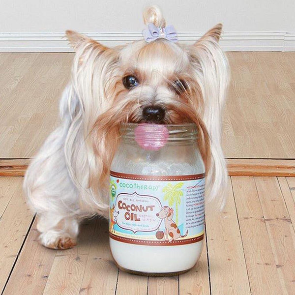 Coco Therapy Organic Virgin Coconut Oil for Pets, 16-oz