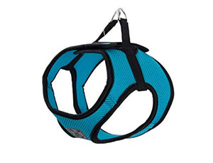 RC Pets Step-In Cirque Teal Dog Harness