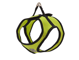 RC Pets Step-In Cirque Lime Dog Harness