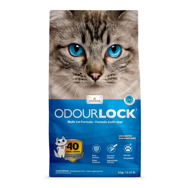 Intersand Odourlock Litière Agglomérante Non Parfumée, 6-kg