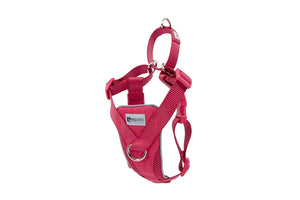 RC Pets Tempo No Pull Dog Harness, Heather Azalea
