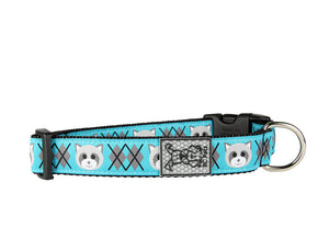 RC Pets Clip Raccoon Dog Collar