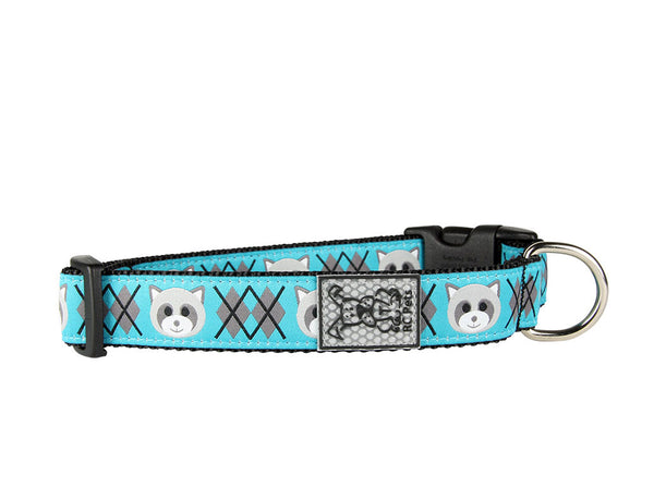 RC Pets Clip Raccoon Dog Collar