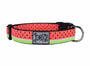 RC Pets Clip Dog Collar, Watermelon