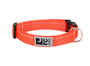 RC Pets Primary Clip Dog Collar, Orange