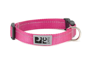 RC Pets Primary Clip Dog Collar, Raspberry