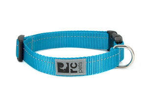 RC Pets Primary Clip Dog Collar, Cyan