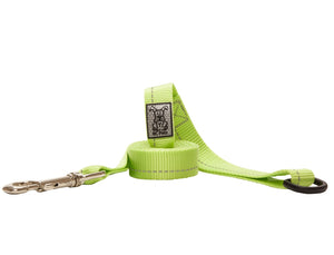 RC Pets Primary Dog Leash, Dark Lime