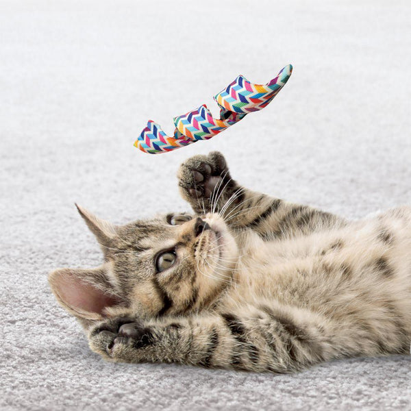 Jouet pour chat KONG Active Curlz