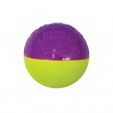 KONG Iconix Ball Dog Toy