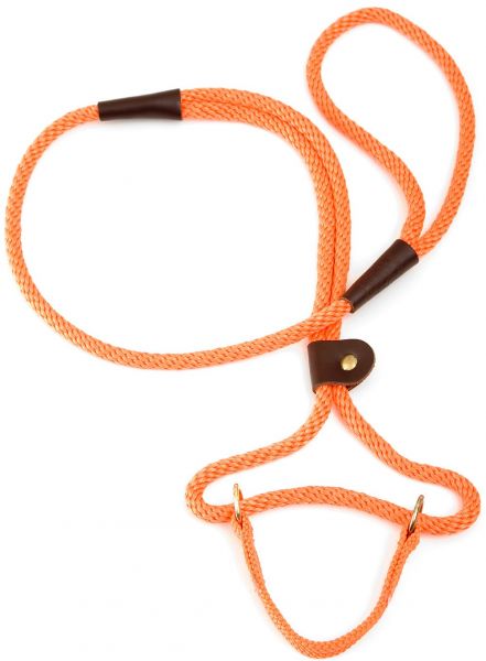 Mendota Pet Large Martingale Slip Walker Dog Collar & Leash