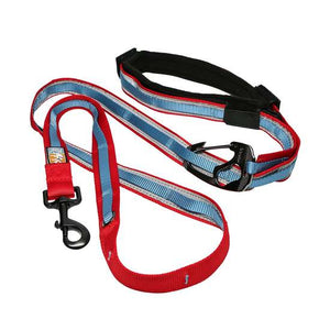 Kurgo Quantum 6-in-1 Dog Leash, Red