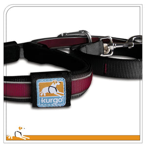 Kurgo Reflect & Protect Quantum Dog Leash, Raspberry