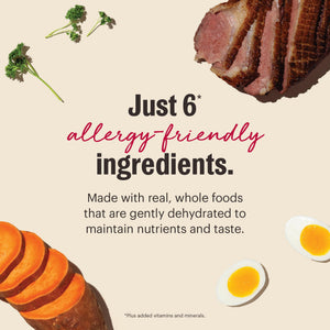The Honest Kitchen Limited Ingredient Duck Grain-Free Dehydrated Dog Food