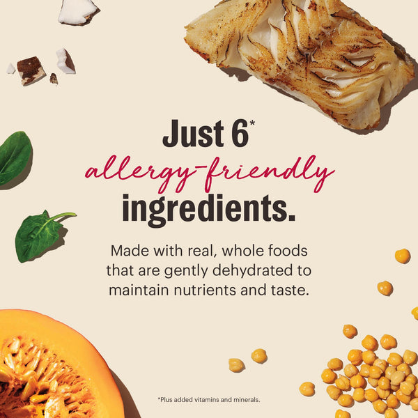 The Honest Kitchen Limited Ingredient Fish Grain-Free Dehydrated Dog Food