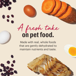 The Honest Kitchen Fish Grain-Free Dehydrated Dog Food