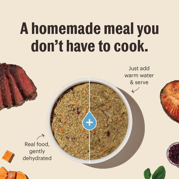 The Honest Kitchen Fish Grain-Free Dehydrated Dog Food