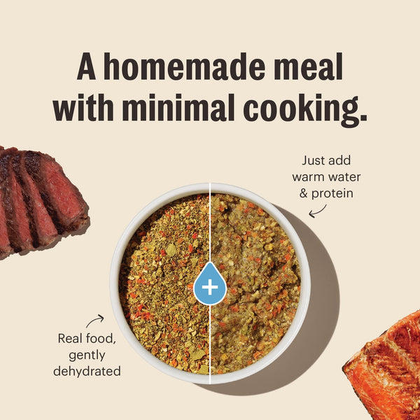 The Honest Kitchen Veggie, Nut & Seed Base Mix Grain-Free Dehydrated Dog Food