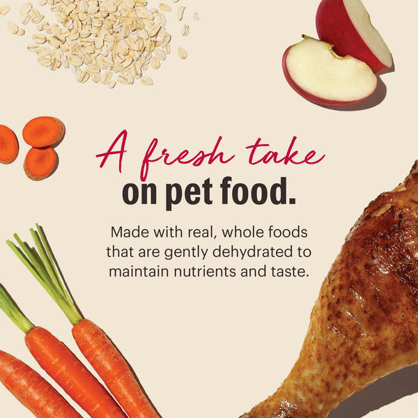 The Honest Kitchen Turkey Whole Grain Dehydrated Dog Food