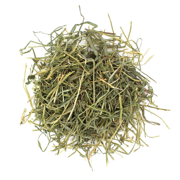 Sunseed SunSations Natural Alfalfa Hay for Small Animals